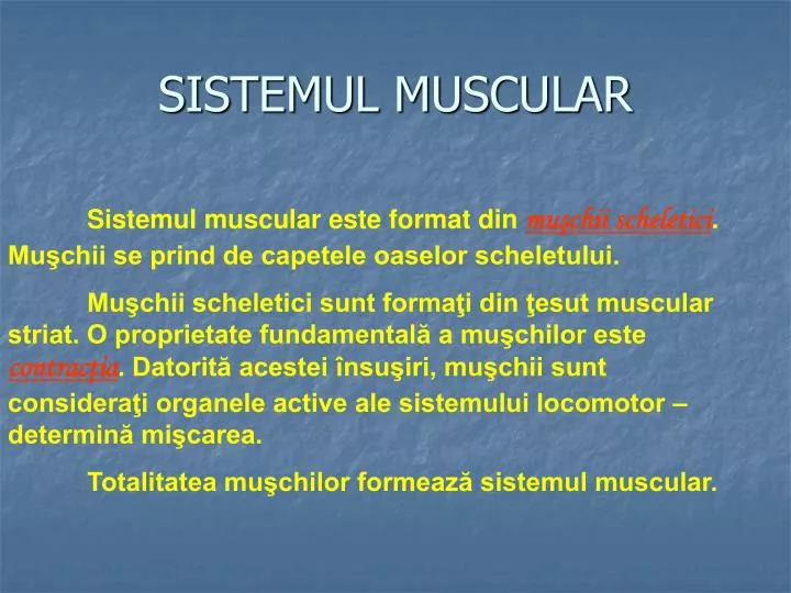 sistemul muscular