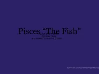 Pisces “The Fish”