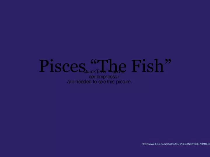pisces the fish
