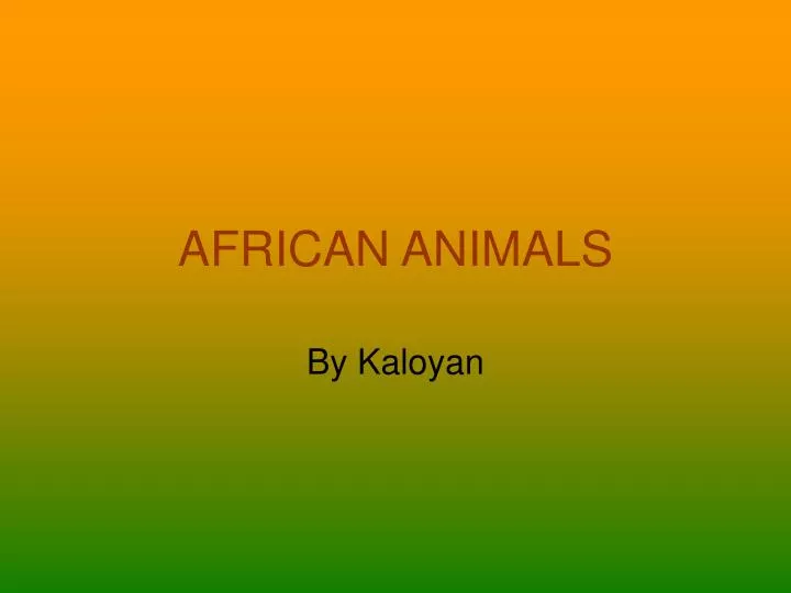 african animals