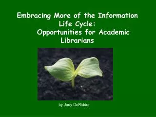 Embracing More of the Information Life Cycle: Opportunities for Academic Librarians