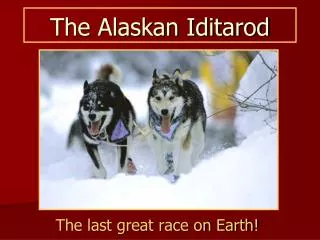 The Alaskan Iditarod