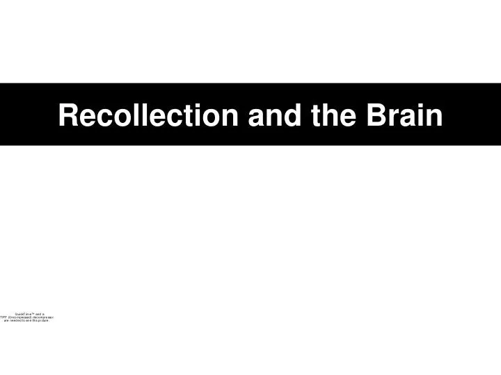 recollection and the brain
