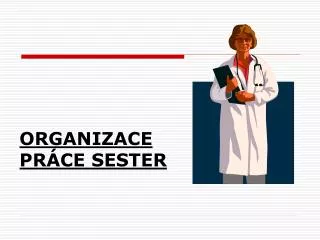 organizace pr ce sester
