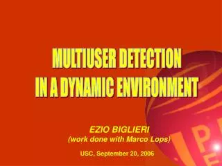 MULTIUSER DETECTION IN A DYNAMIC ENVIRONMENT
