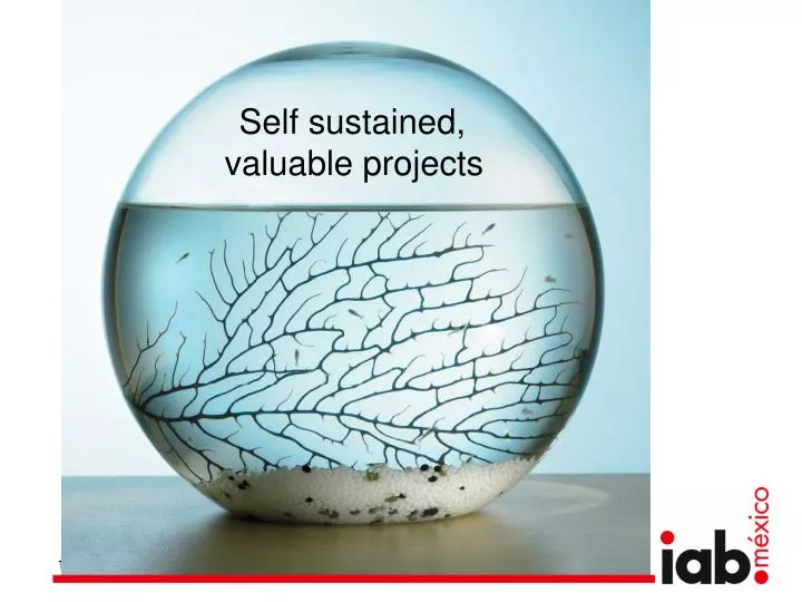 self sustained valuable projects