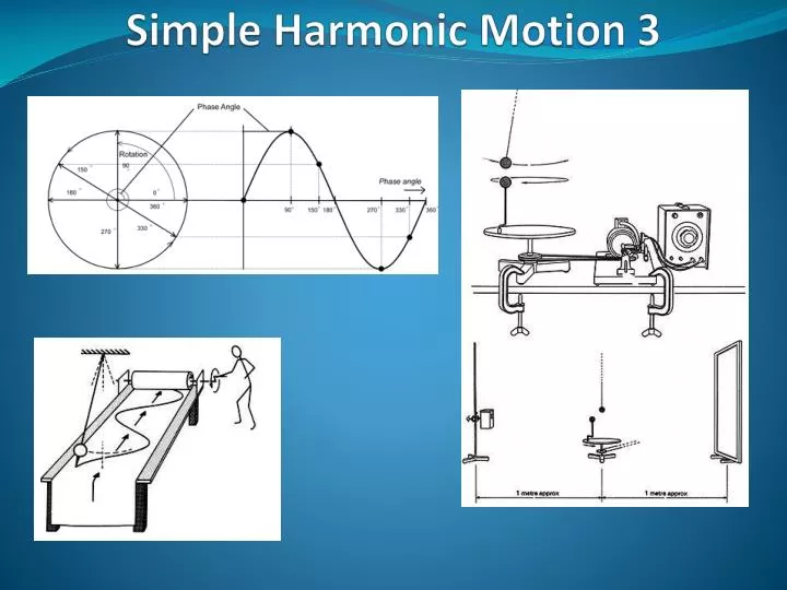 simple harmonic motion 3