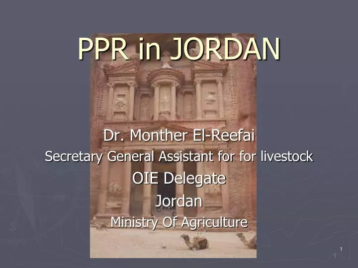 ppr in jordan