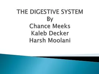 THE DIGESTIVE SYSTEM By Chance Meeks Kaleb Decker Harsh Moolani