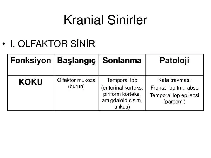 kranial sinirler