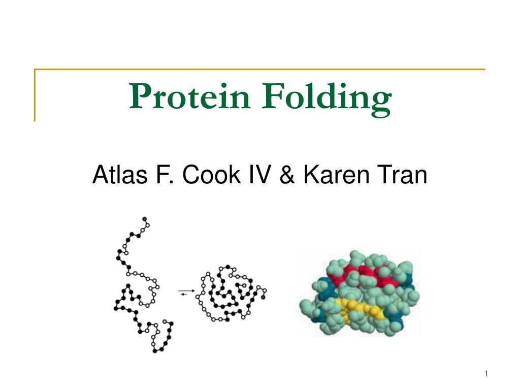 PPT - Protein Folding PowerPoint Presentation, free download - ID:5669597