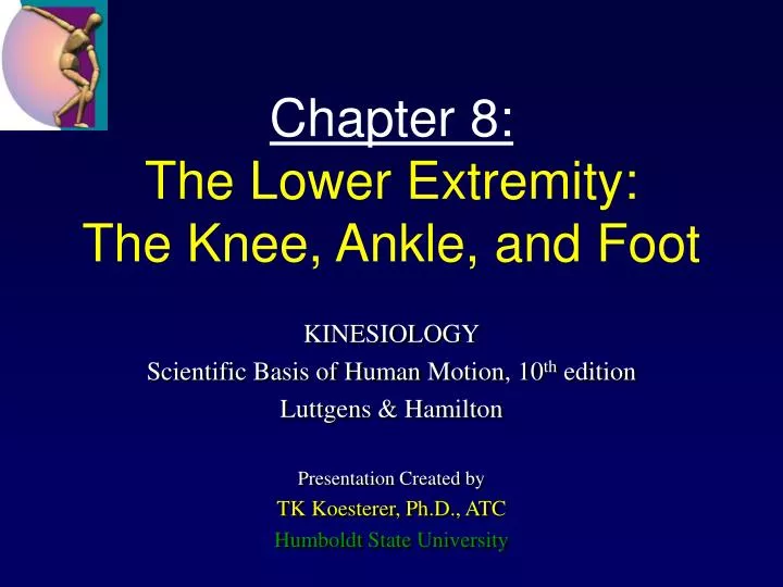 chapter 8 the lower extremity the knee ankle and foot