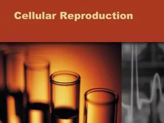 Cellular Reproduction