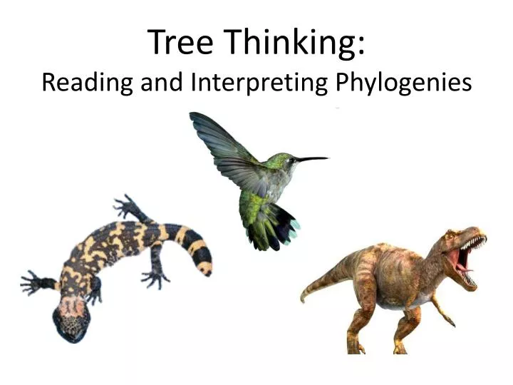 tree thinking reading and interpreting phylogenies
