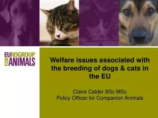 Welfare issues associated with the breeding of dogs &amp; cats in the EU Claire Calder BSc MSc