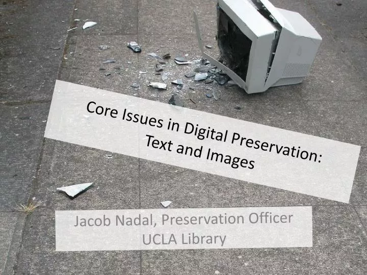 core issues in digital preservation text and images