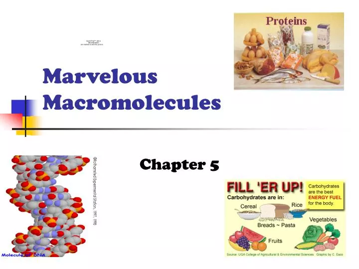 marvelous macromolecules