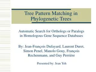 Tree Pattern Matching in Phylogenetic Trees