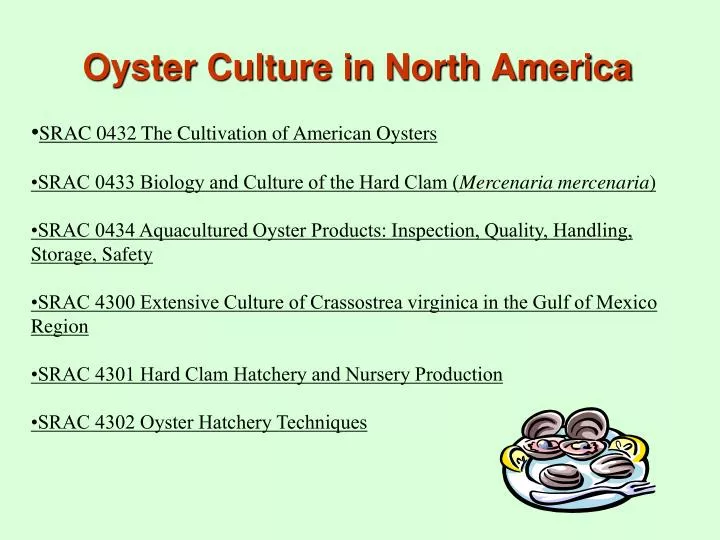 oyster culture in north america