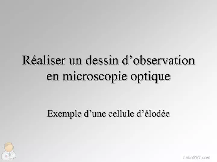 r aliser un dessin d observation en microscopie optique