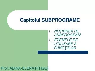 capitolul subprograme
