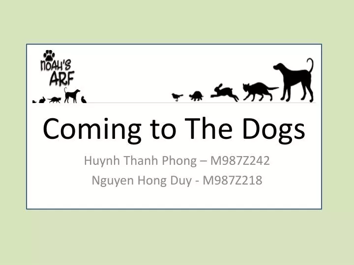 coming to the dogs