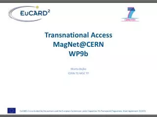 Transnational Access MagNet @CERN WP9b