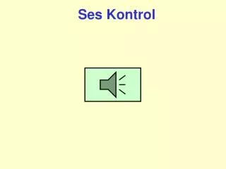 ses kontrol