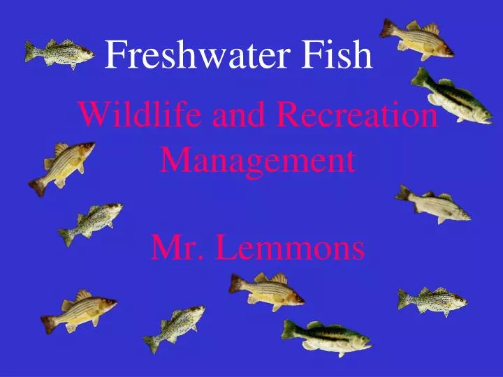 wildlife and recreation management mr lemmons