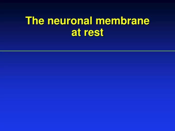 the neuronal membrane at rest