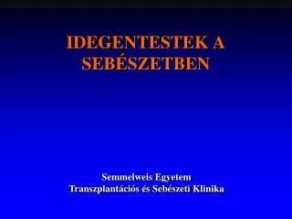 idegentestek a seb szetben