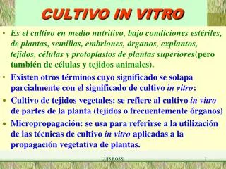 cultivo in vitro