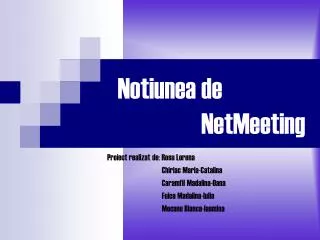 notiunea de netmeeting