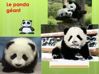 le panda g ant