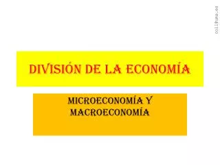 divisi n de la econom a