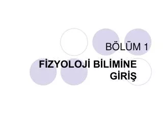 b l m 1