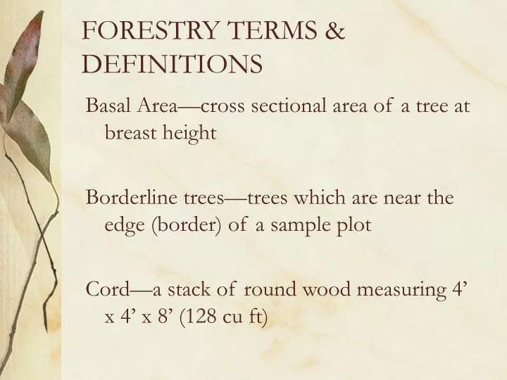 forestry terms definitions