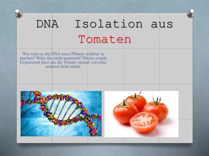 dna isolation aus tomaten