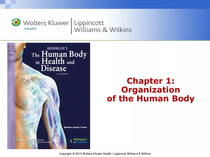 chapter 1 organization of the human body