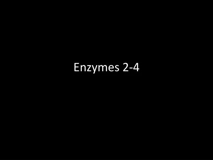 enzymes 2 4