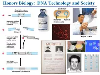 Honors Biology: DNA Technology and Society