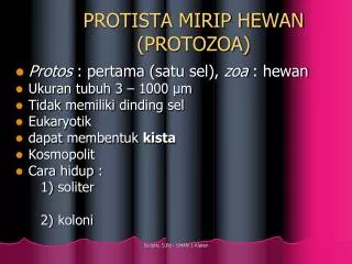 protista mirip hewan protozoa