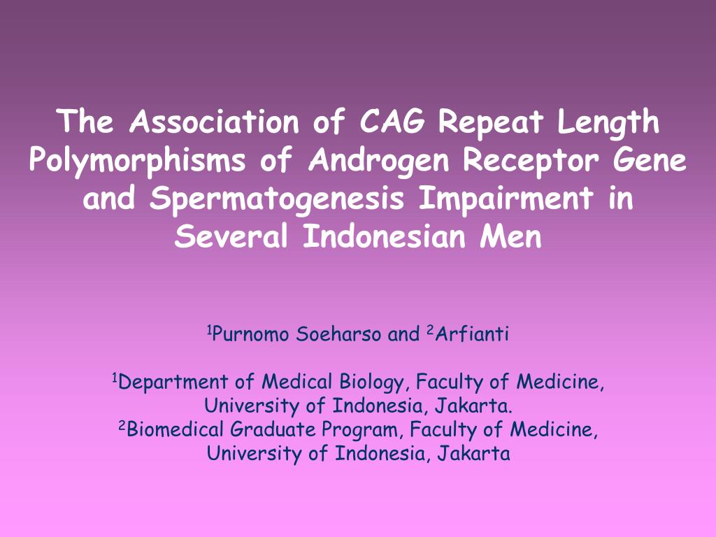Figure 2. Distribution of CAG repeat number in oligozoospermic/azoospermic men - slide 1