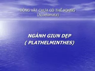 ng v t ch a c th xoang acoelomata
