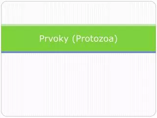 prvoky protozoa