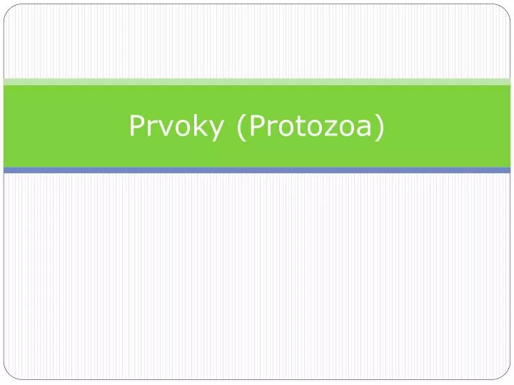 prvoky protozoa