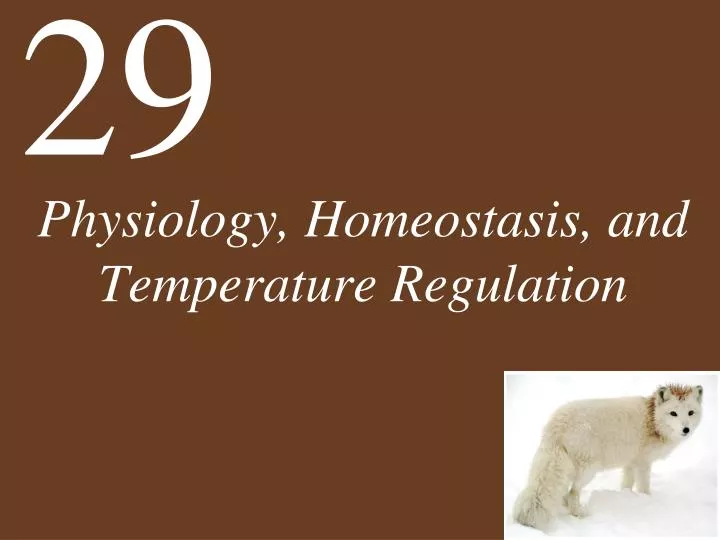 physiology homeostasis and temperature regulation