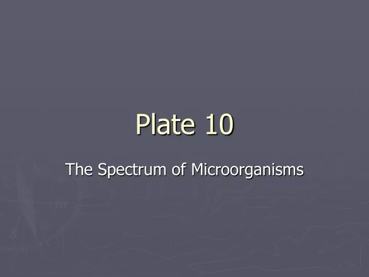 plate 10