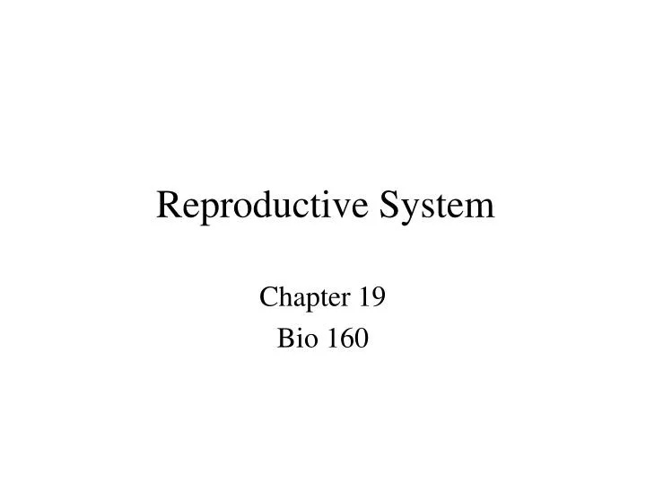 reproductive system