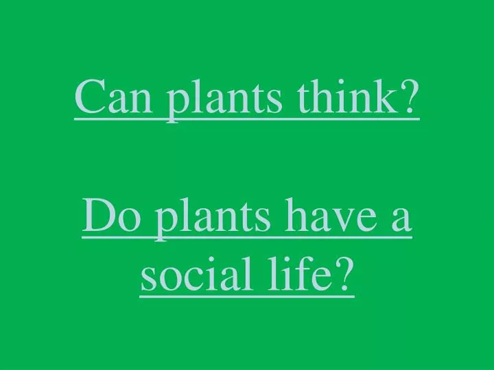 can plants think do plants have a social life